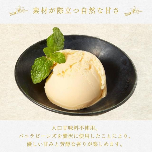 NIPPONのジェラート極 濃厚バニラ 16個入 アイス ジェラート スイーツ ギフト お返し 詰め合わせ セット 人気 冬ギフト お歳暮 ご褒美 贈り物 NIPPONのジェラート極 濃厚バニラ 16個入 アイス ジェラート スイーツ